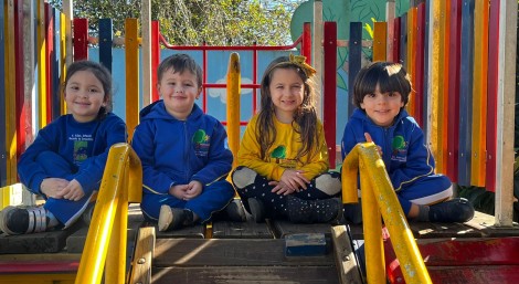 Educação Infantil